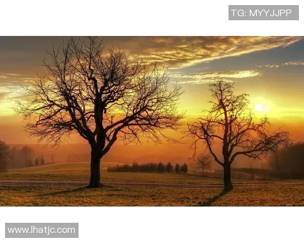 飞翼与梦想的较量谁能胜出探寻心灵深处的追求与希望